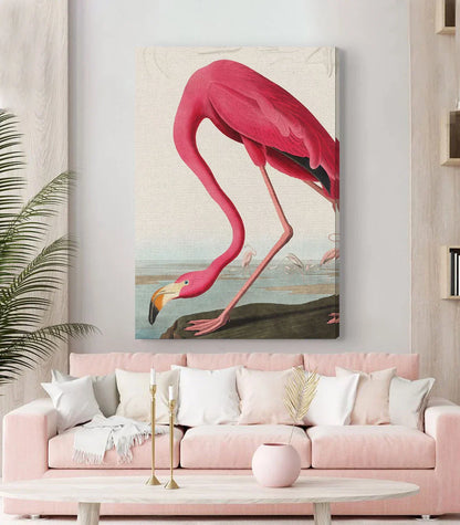 The Flamingo-s Stance