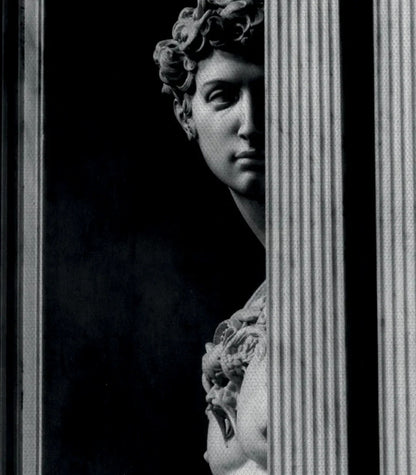 David Sculpture - Michelangelo