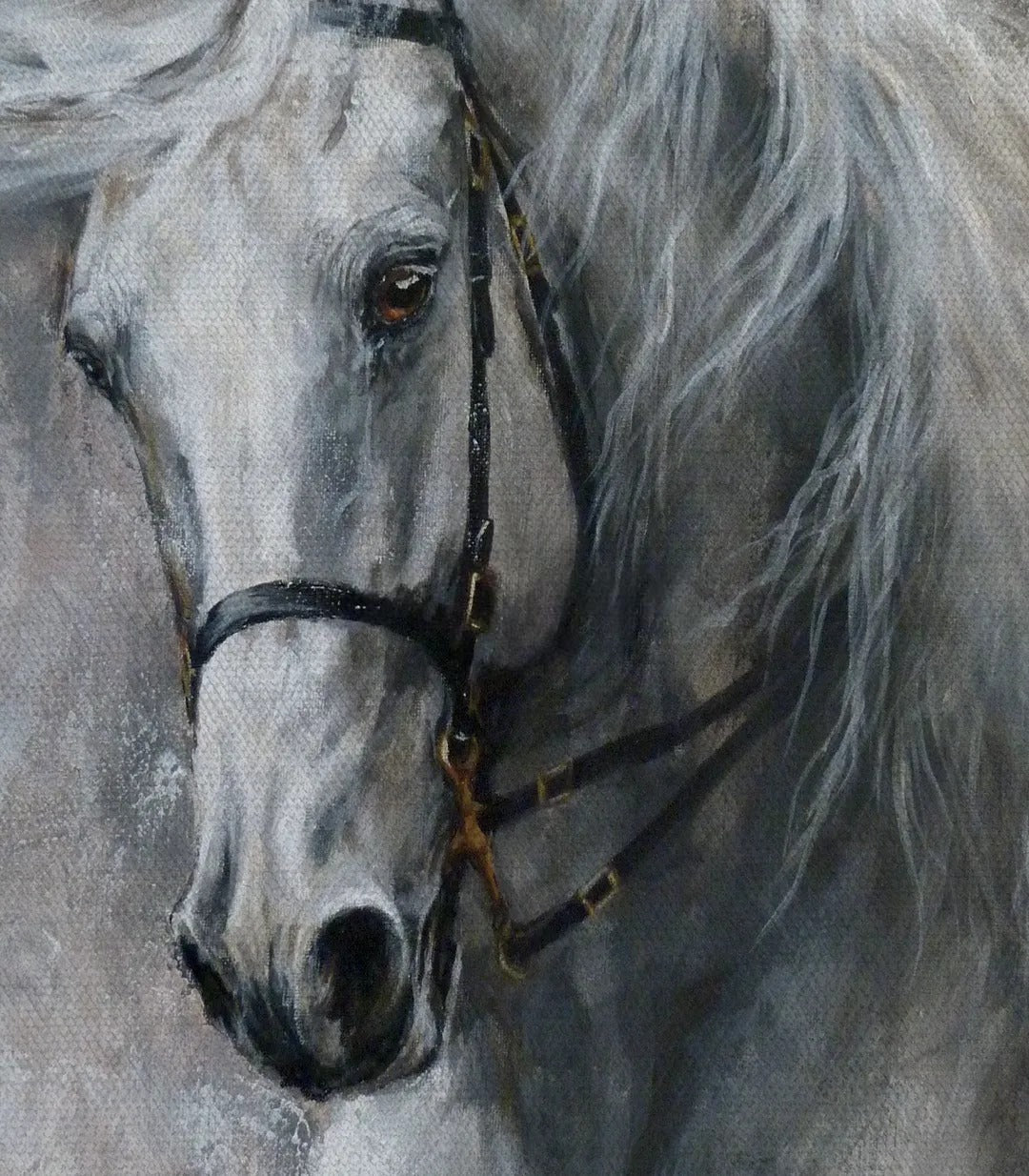Portrait de cheval