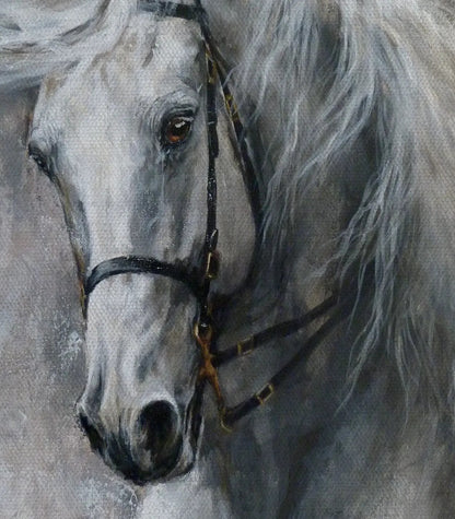 Portrait de cheval