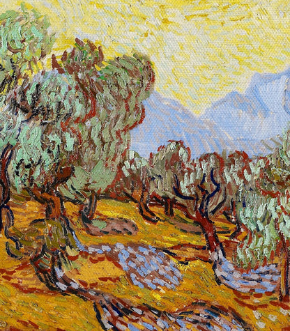 Olive Trees