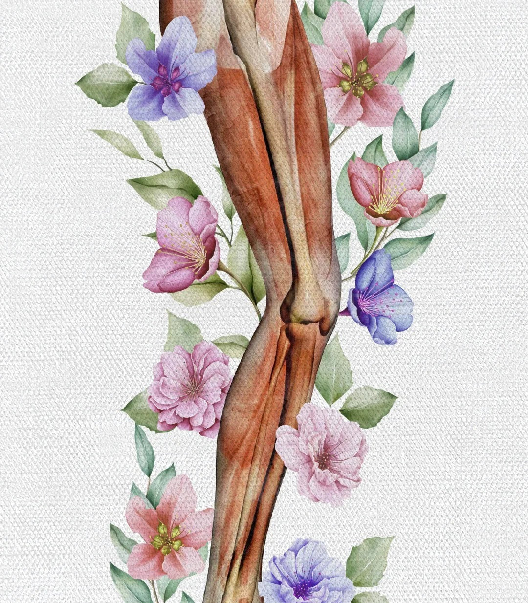Floral Anatomy