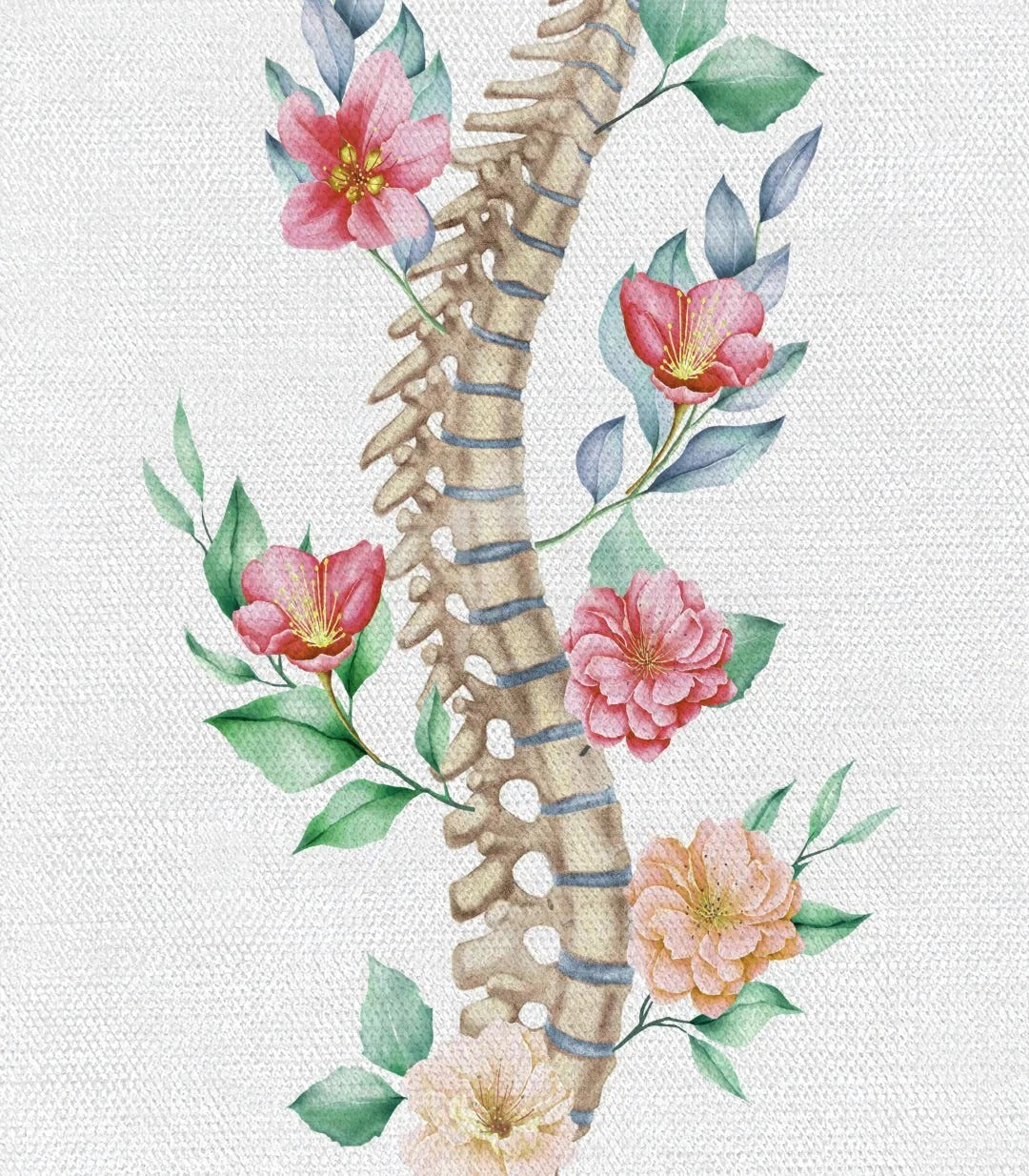 Floral Anatomy