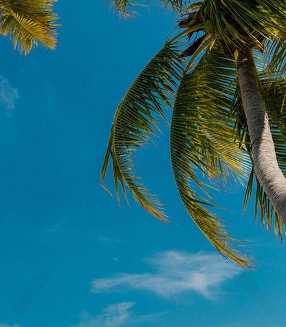 Maldives