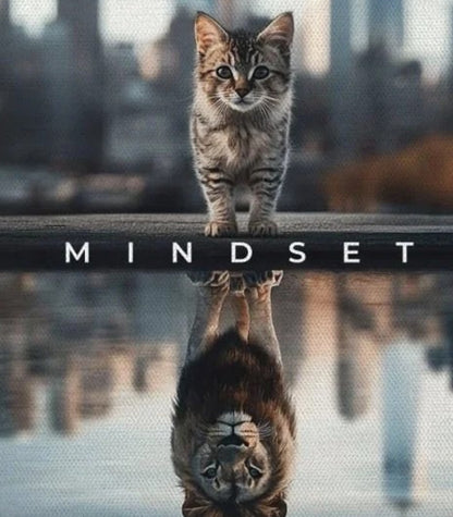Mindset