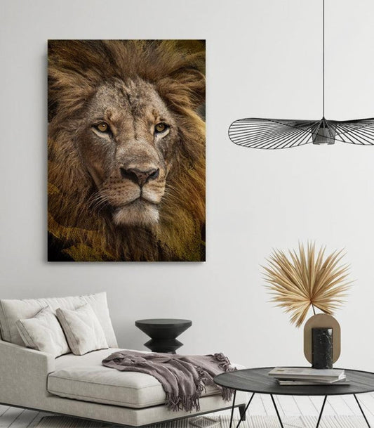 Lion portrait