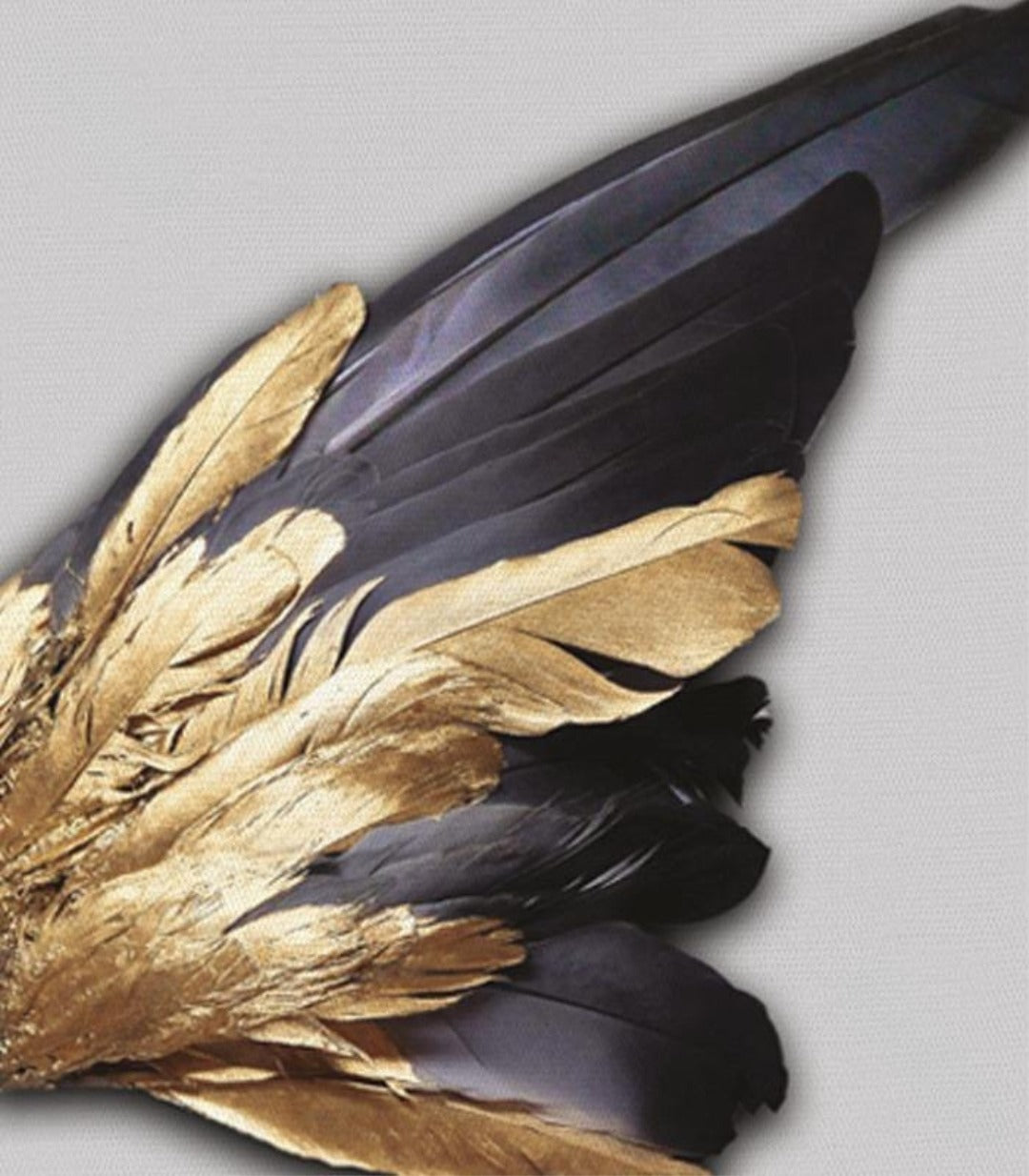 Ailes d'ange dorées