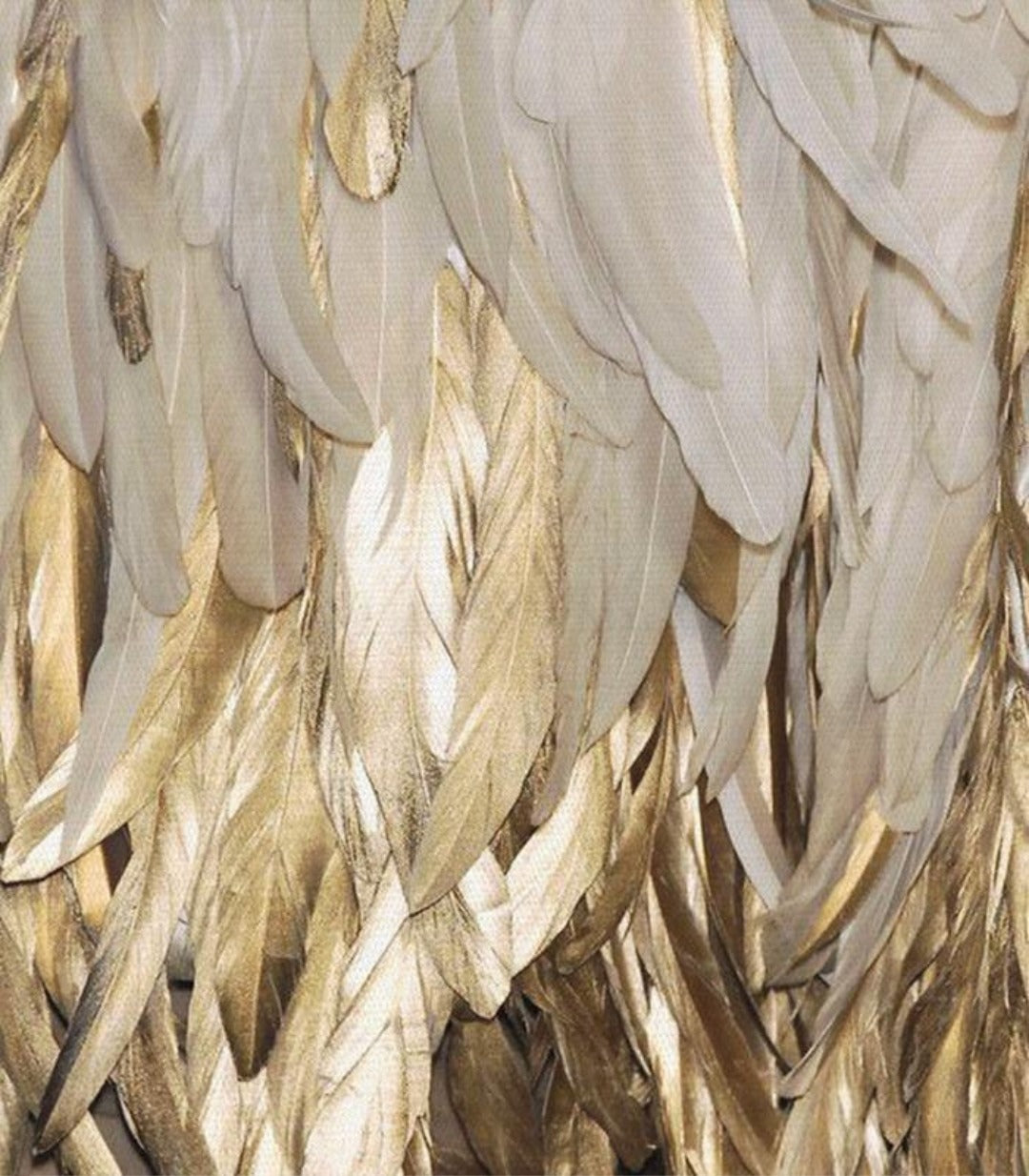 Ailes d'ange dorées